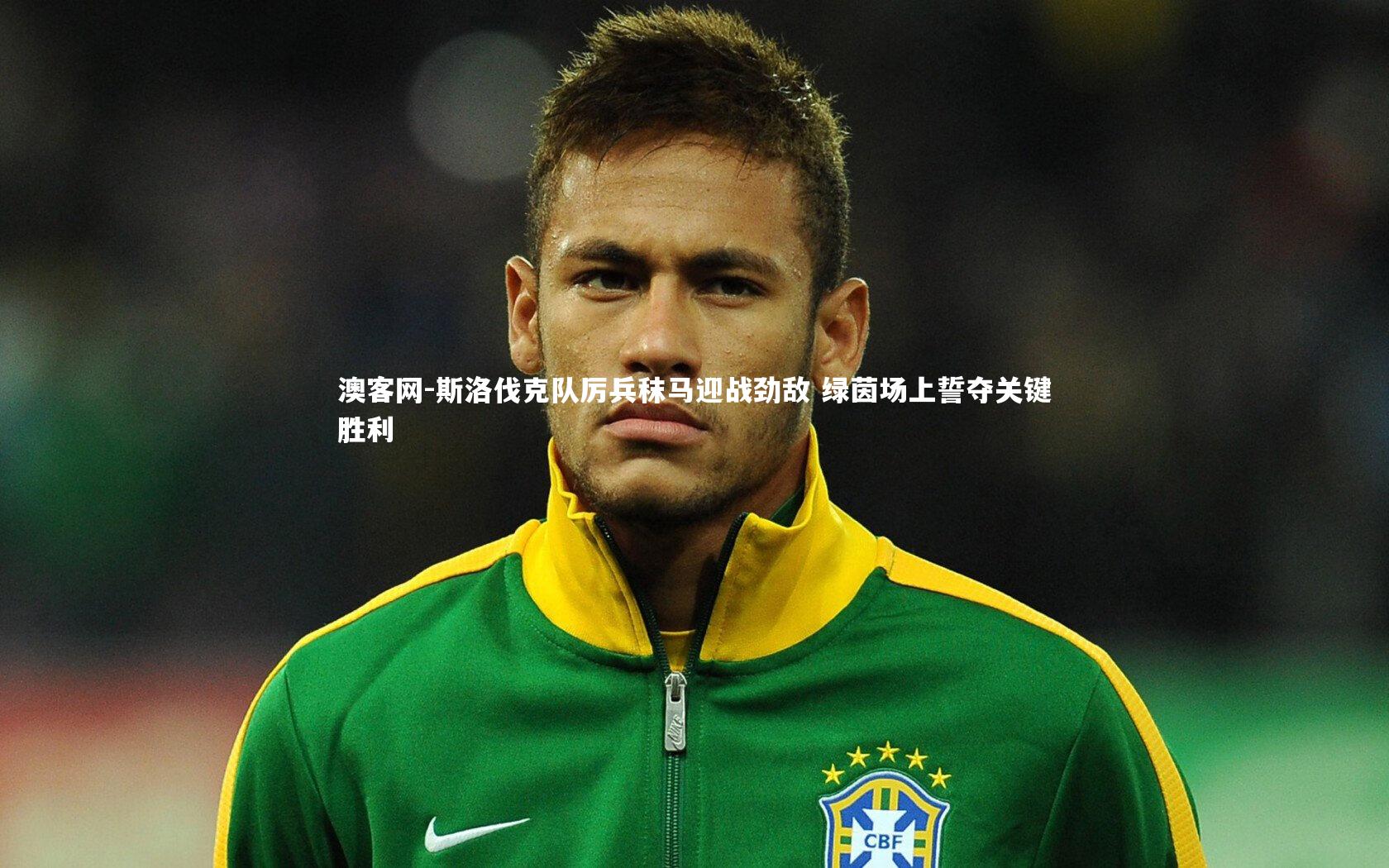 斯洛伐克队厉兵秣马迎战劲敌 绿茵场上誓夺关键胜利